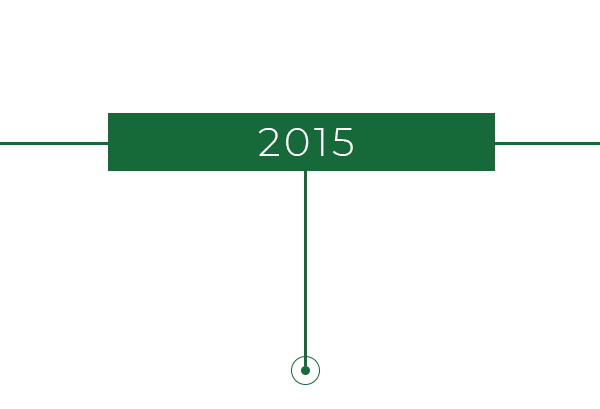 2015 2015