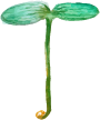 3sprout 3sprout
