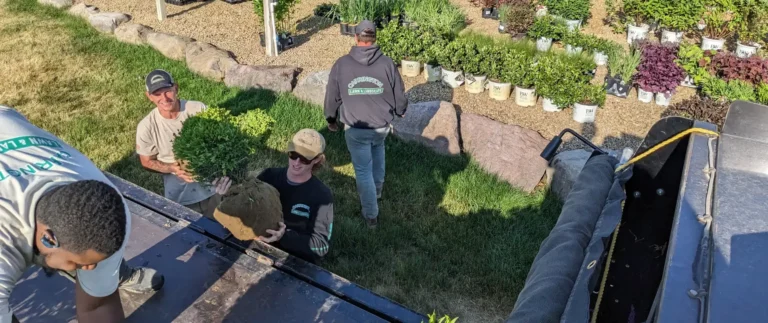 Watering New Plants: Guidelines for Healthy Growth