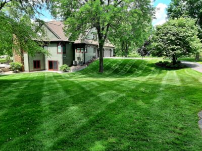 zoomed out image of a backyard with freshly cut lawn after new grass seed was planted with criss cross mow patterns by Carrington Lawn & Landscape in Madison, WI
