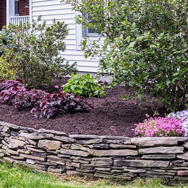 A house garden with moisture retention landscape design services in Middleton, WI.