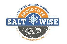salt wise logo