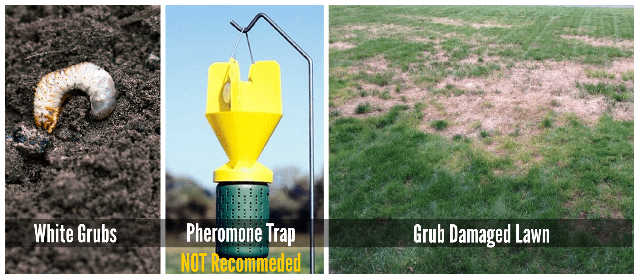 blank 2560 x 1118 copy 2048x894 1