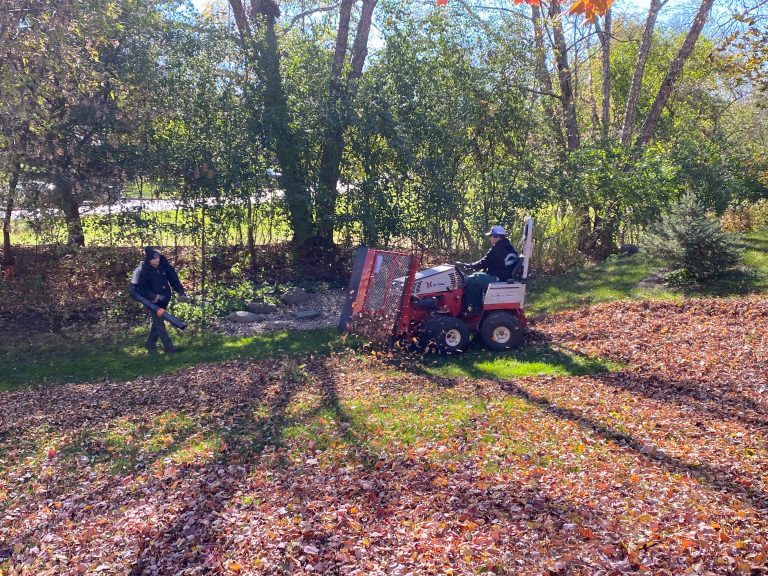 Two landscapers working together to clear leaves from a yard using a leaf blower and a Ventrac mower with a collector for softscape landscaping in Middleton, WI