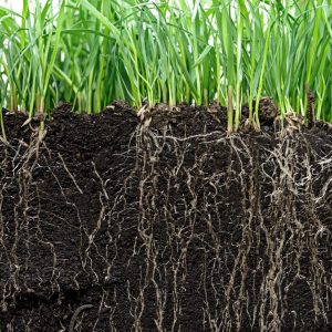 untitled 7 300x300 1