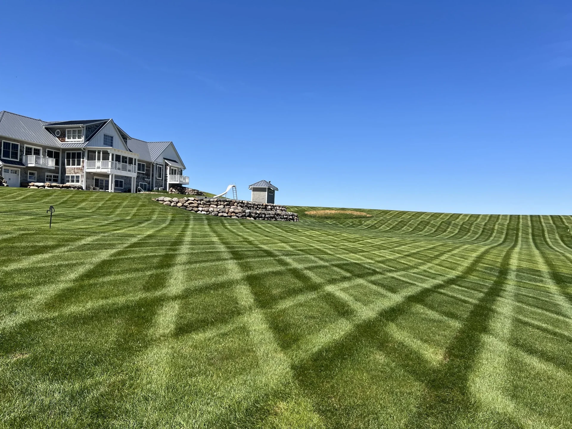 Lawn treated with Madisonian Lawn Care Program hybrid turf builder and organic fertilizer approach for balanced weed control by Carrington Lawn Landscape
