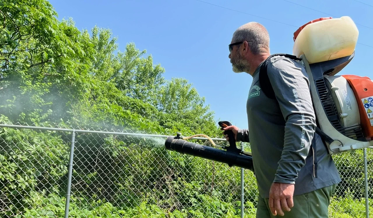 Technician applying mosquito and tick control insecticide spray to shrubs and trees for outdoor pest protection by Carrington Lawn Landscape