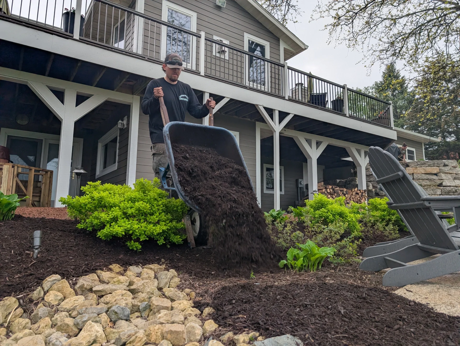 Landscape technician spreading brown-dyed shredded hardwood bark mulch around landscape beds to retain moisture, control weeds, and enhance property appearance by Carrington Lawn Landscape