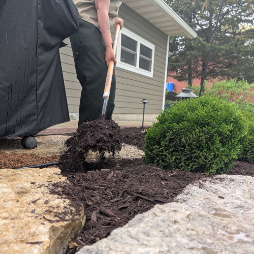 Close-up of a landscaper using a shovel to spread mulch between landscape stones and shrubs in a home garden