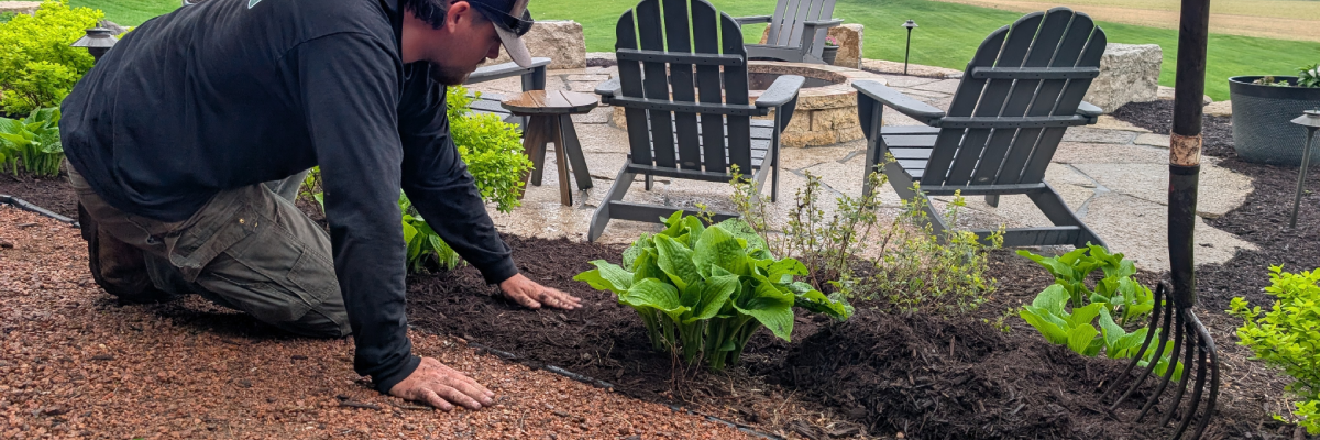 Landscape professional kneeling and spreading mulch by hand in a garden bed without landscape fabric, with patio chairs and plants in the background in Madison, WI