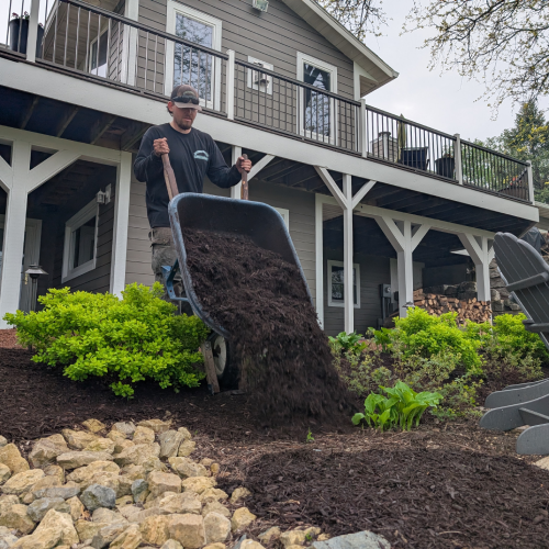 Professional landscaper applying mulch with a wheelbarrow on a sloped garden bed near a gray house in Madison, Wisconsin