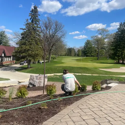 Carrington Lawn & Landscape team member watering newly planted shrubs along a landscaped walkway in Middleton, WI