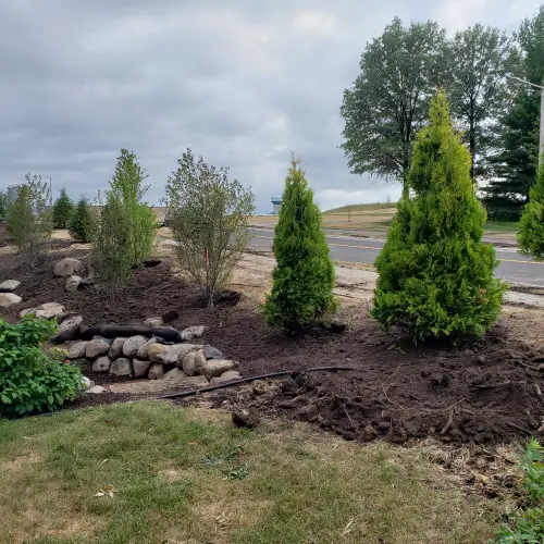 Newly planted shrubs and trees being watered in a landscaped yard in Middleton, WI by Carrington Lawn & Landscape.