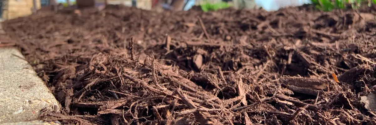 Mulch used for climate-adapted landscaping by Carrington Lawn & Landscape in WI