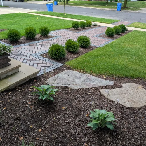 A finished herringbone pattern brick walkway surrounded by boxwoods and mulch for care for new landscaping by Carrington Lawn & Landscape in WI