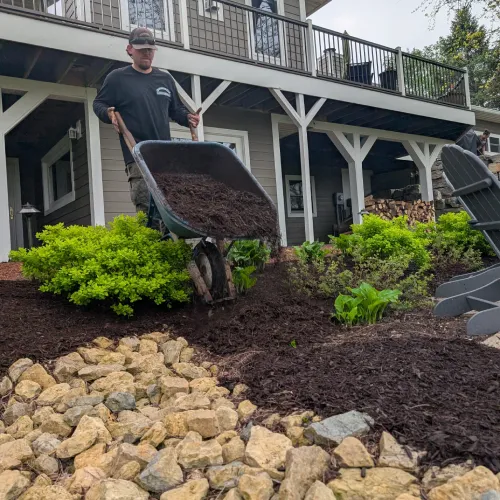 A landscaper spreading dark brown mulch from a wheelbarrow for care for new landscaping by Carrington Lawn & Landscape in WI