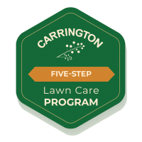 five_step_program five_step_program