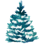 watercolor spruce tree watercolor spruce tree