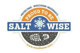 salt wise logo