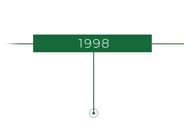 1998 icon