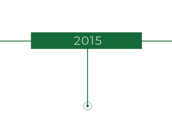 2015 icon