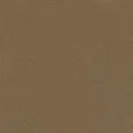 Bronze image