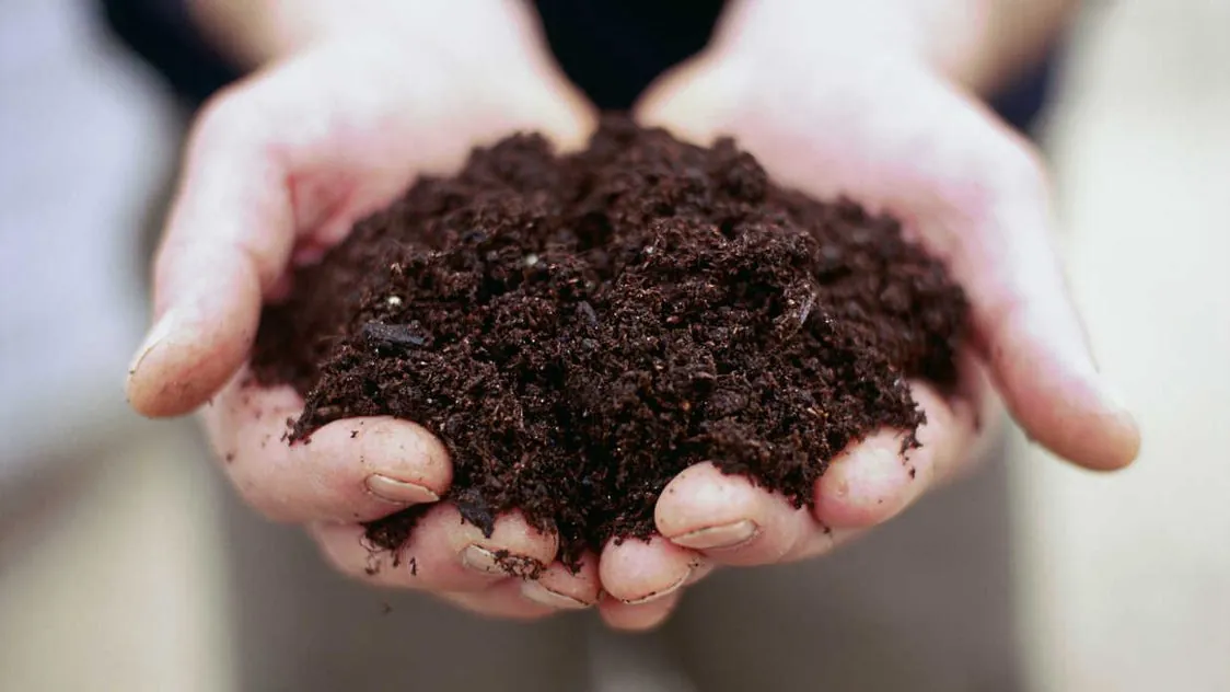 Person's hands holding a fertilizer for landscape maintenance in Middleton, WI