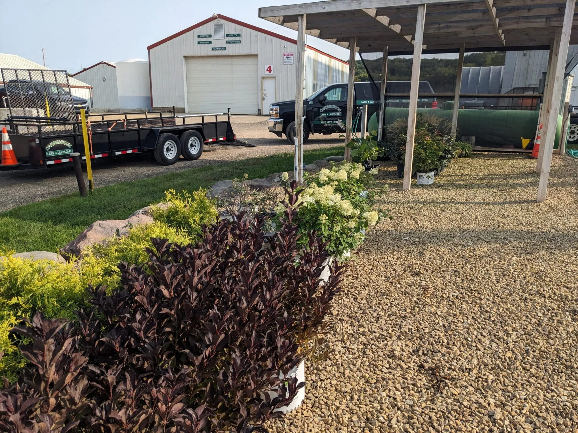 Outdoor nursery scene with dark-leaved plants in the foreground in Middleton, WI