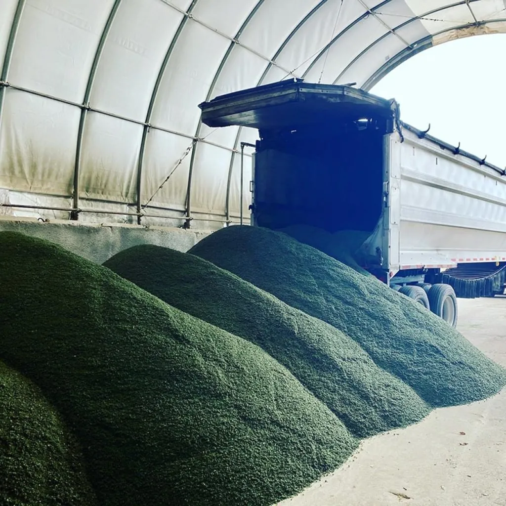 Truck unloading a large supply of green road salt inside a storage facility for snow and ice management in Madison, WI.