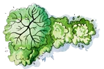 trees icon