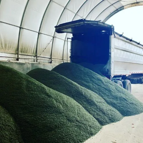 Truck unloading a large supply of green road salt inside a storage facility for snow and ice management in Madison, WI.