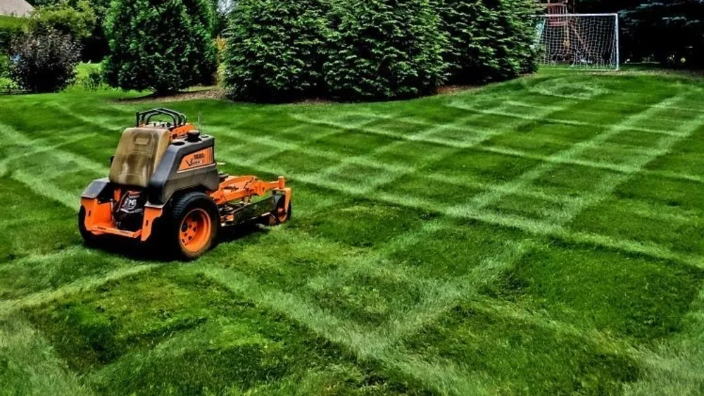 Fall cleanup of leaves and debris in a residential yard