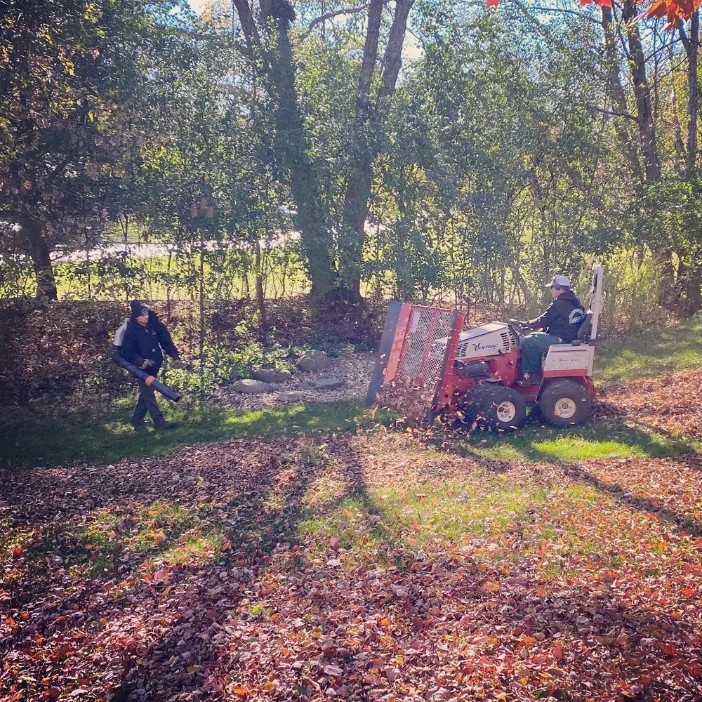 Landscaping team performing seasonal maintenance