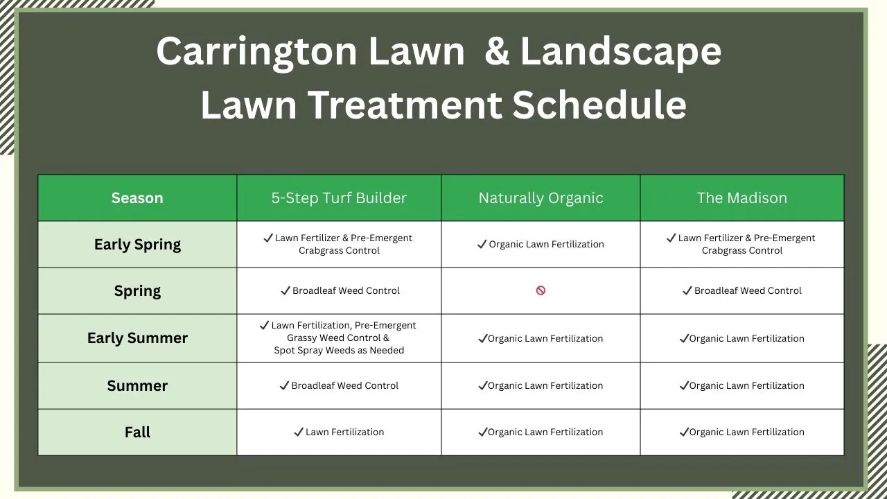 Compare Our Programs