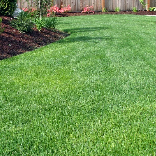 Seasonal Yard Clean-Ups in Middleton, WI