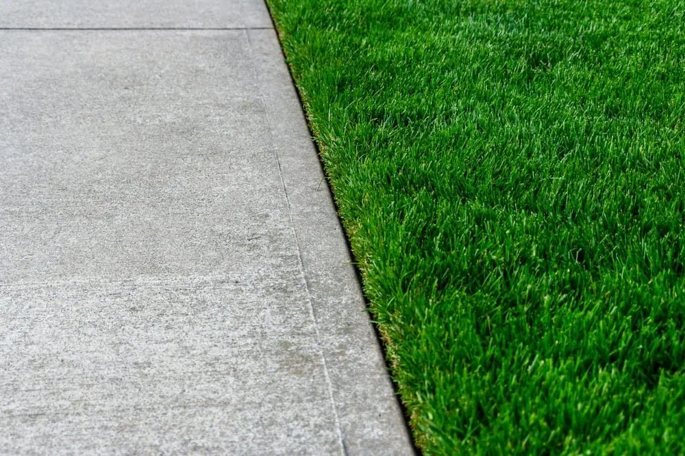 Lawn care technician using edging tool to remove overgrown turf along sidewalk for a crisp, clean landscape border by Carrington Lawn Landscape