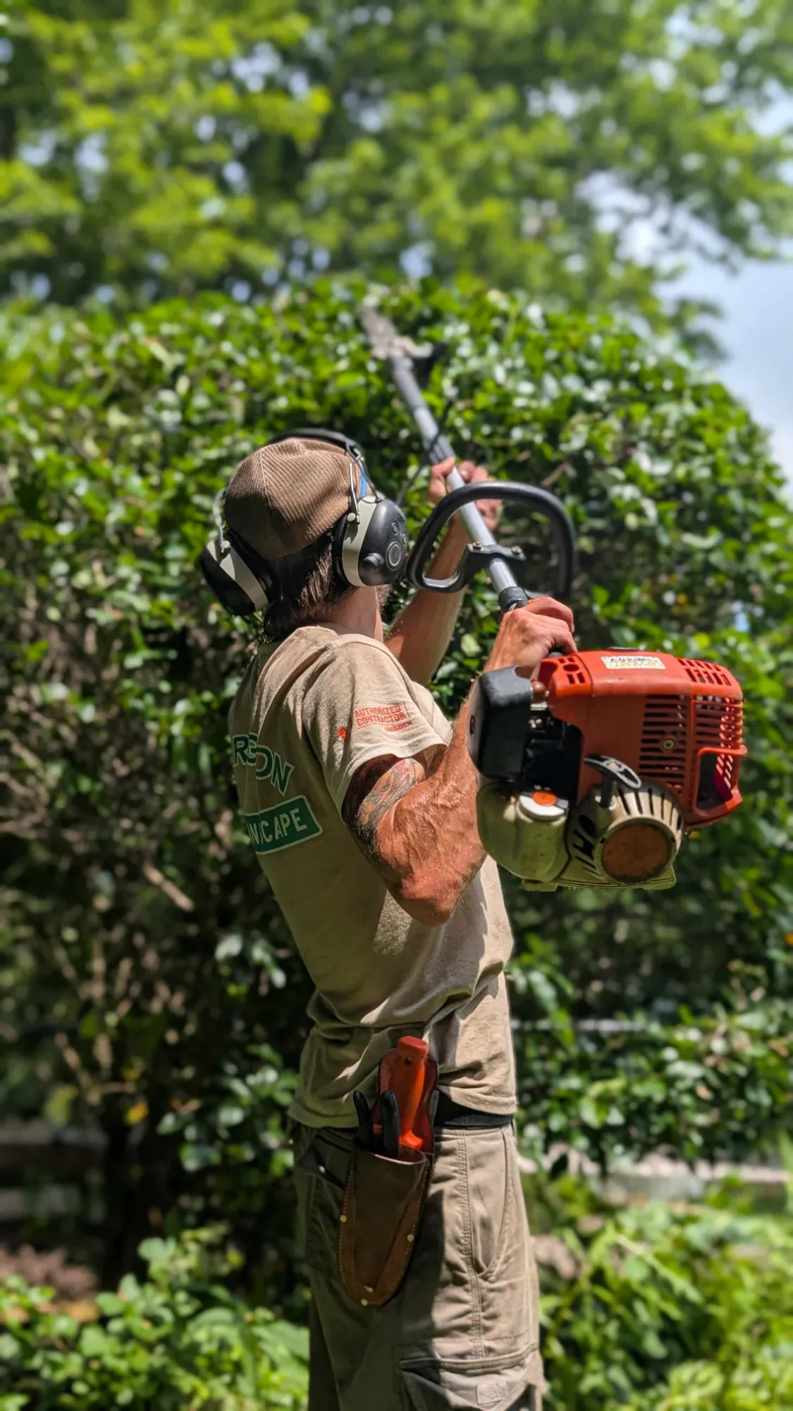 Professional hedge trimming shrub pruning benefits service in Middleton WI by Carrington Lawn & Landscape